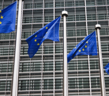 EU flags 360x320