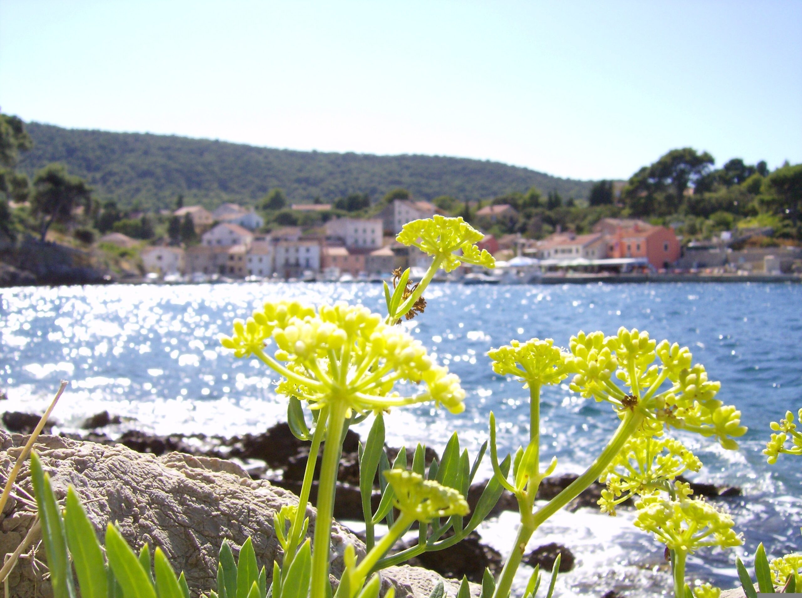 cres-losinj Cres losinj